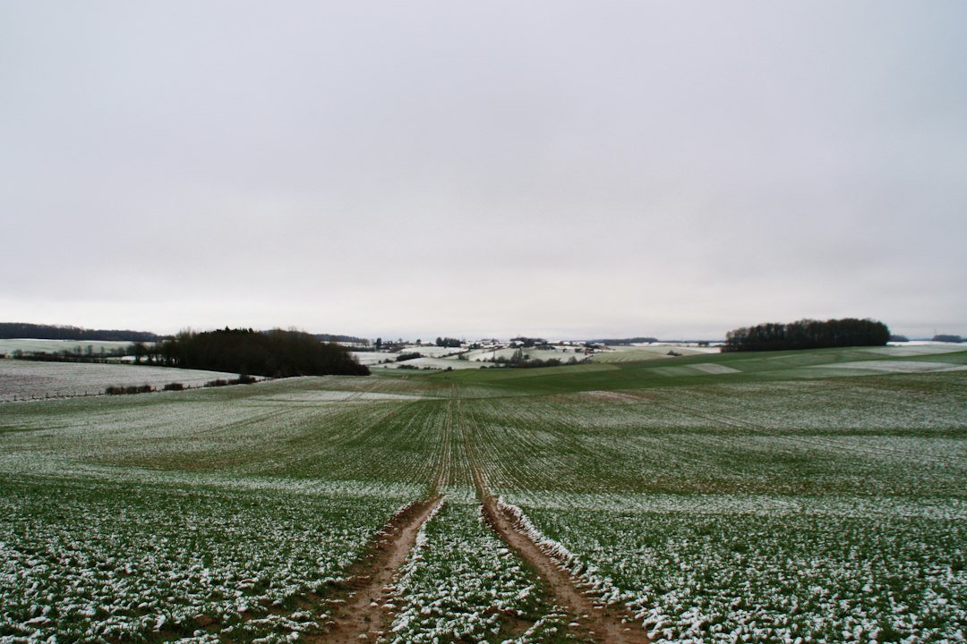 Champ cultivé traversé par un chemin de terre. Photo de Soazic Leroy, Unsplash.