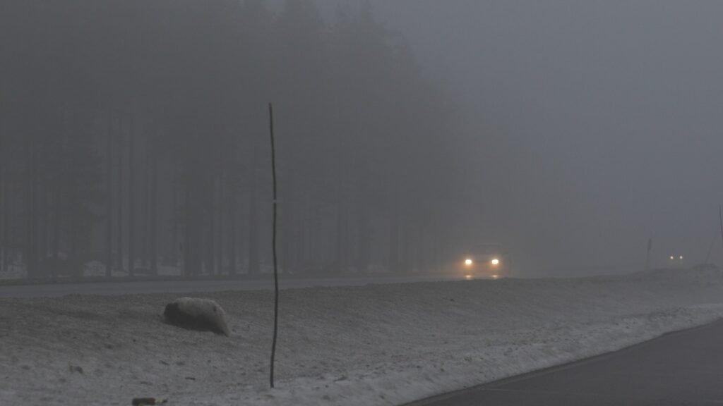 Route de campagne plongée dans un brouillard épais réduisant fortement la visibilité