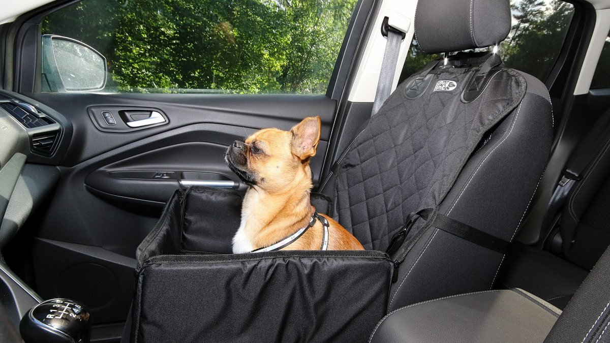 Petit chien installé dans un panier de transport noir fixé sur le siège passager avant d’une voiture, qui protège le tissu des poils