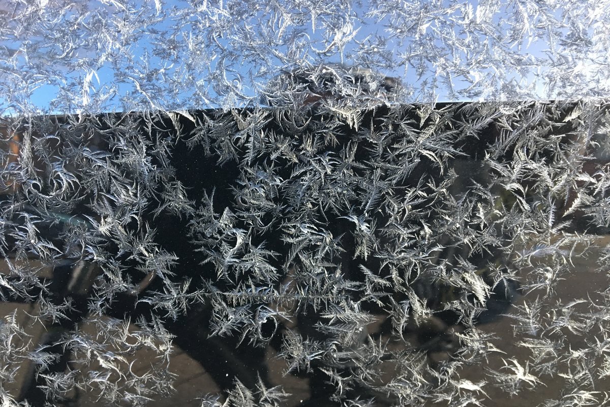 Gros plan sur des cristaux de givre en forme de plumes déposés sur une vitre de voiture, au petit matin