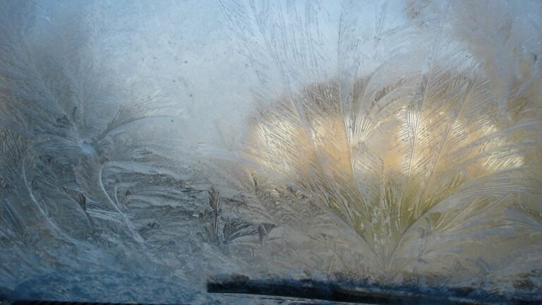 Pare-brise entièrement couvert de cristaux de givre en forme de plumes, avec le soleil levant qui perce derrière et l’essuie-glace visible en bas