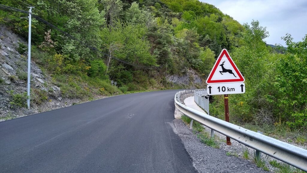 Panneau triangulaire A15b avec un cerf bondissant et un panonceau « 10 km », au bord d’une route départementale bordée de forêt