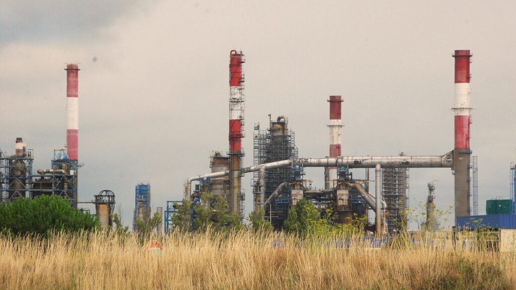 Raffinerie de Donges en Loire-Atlantique : cheminées rouges et blanches, colonnes de distillation et tuyauteries derrière des herbes sèches, sous un ciel gris