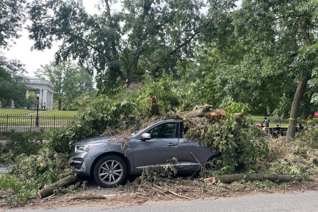 Voiture sombre écrasée sous un tronc d’arbre tombé, carrosserie et vitre latérale endommagées après une tempête de vent