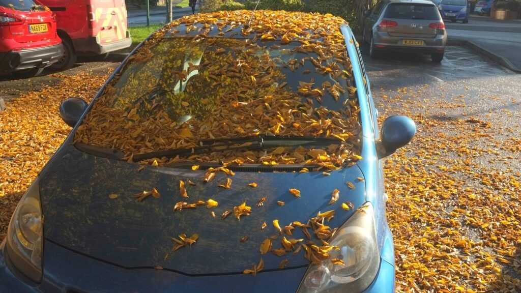 Petite voiture bleue dont le pare-brise et le capot sont couverts de feuilles mortes jaunes et orangées, garée sur un parking jonché de feuilles